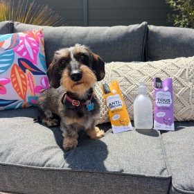 copy of Shampooing pour Chien - Poils Longs - Héry