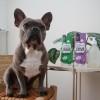 copy of Shampooing pour Chien - Poils Longs - Héry