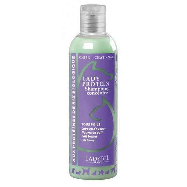 SHAMPOOING pour chien et chat LADY PROTEIN LADYBEL - DOGFRENCHTOUCH