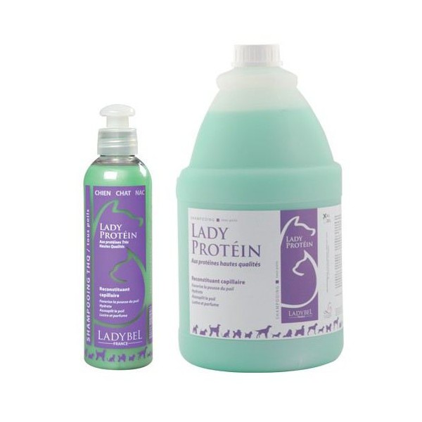 SHAMPOOING pour chien et chat LADY PROTEIN LADYBEL - DOGFRENCHTOUCH