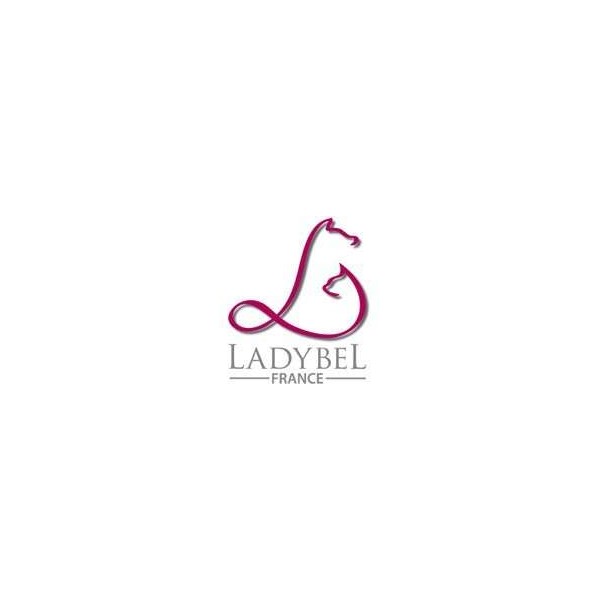 LAQUE PROFESSIONNELLE pour chien et chat LADY LAQUE LADYBEL