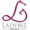 LAQUE PROFESSIONNELLE pour chien et chat LADY LAQUE LADYBEL