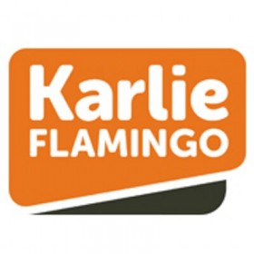 ENSEMBLE COLLIER ET LAISSE pour chien façon croco KARLIE