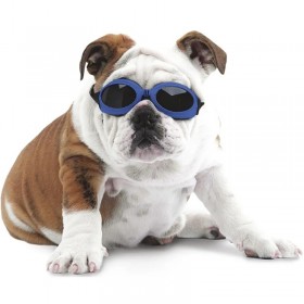 LUNETTES DE SOLEIL pour chien BLEU PROTECTION UV-DOGFRENCHTOUCH