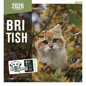 CALENDRIER chat 2026 BRITISH MARTIN SELLIER-DOGFRENCHTOUCH