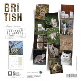 copy of Calendrier chien 2023-2024 Bouledogue français MARTIN SELLIER