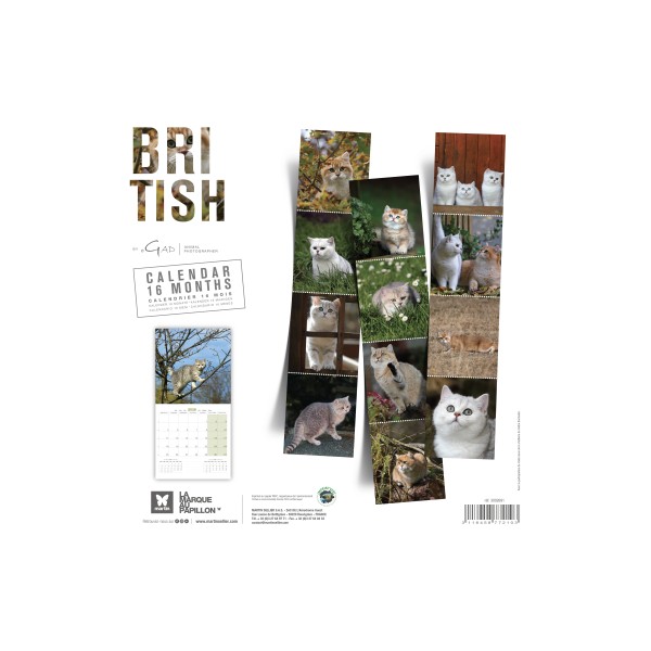 CALENDRIER chat 2026 BRITISH MARTIN SELLIER-DOGFRENCHTOUCH