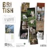 CALENDRIER chat 2026 BRITISH MARTIN SELLIER-DOGFRENCHTOUCH