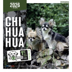 CALENDRIER chien 2026 CHIHUAHUA MARTIN SELLIER-DOGFRENCHTOUCH