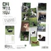 CALENDRIER chien 2026 CHIHUAHUA MARTIN SELLIER-DOGFRENCHTOUCH