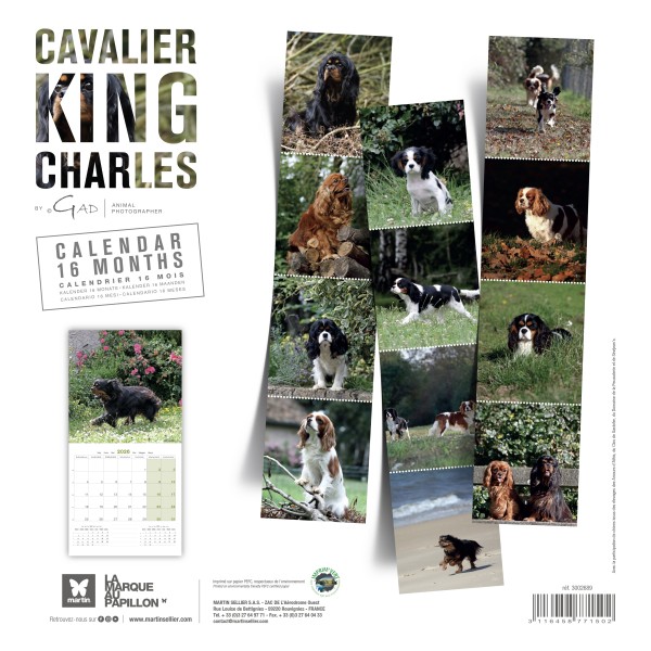 CALENDRIER chien 2026 CAVALIER KING CHARLES MARTIN SELLIER-DOGFRENCHTOUCH