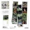 CALENDRIER chien 2026 CAVALIER KING CHARLES MARTIN SELLIER-DOGFRENCHTOUCH