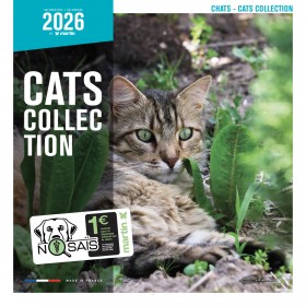 CALENDRIER chat 2026 CHATS MARTIN SELLIER-DOGFRENCHTOUCH