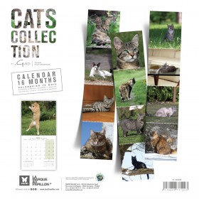 CALENDRIER chat 2026 CHATS MARTIN SELLIER-DOGFRENCHTOUCH