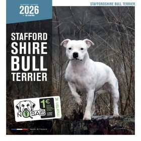 CALENDRIER chien 2026 STAFFORD SHIRE BULL TERRIER MARTIN SELLIER-DOGFRENCHTOUCH