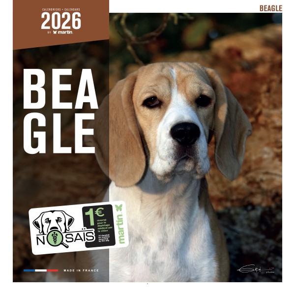 CALENDRIER chien 2026 BEAGLE MARTIN SELLIER-DOGFRENCHTOUCH