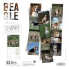 CALENDRIER chien 2026 BEAGLE MARTIN SELLIER-DOGFRENCHTOUCH