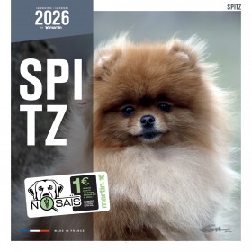 CALENDRIER chien 2026 SPITZ MARTIN SELLIER-DOGFRENCHTOUCH