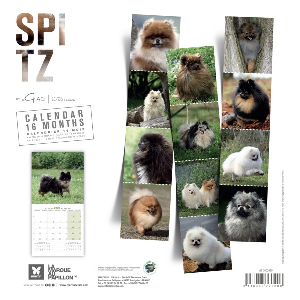 CALENDRIER chien 2026 SPITZ MARTIN SELLIER-DOGFRENCHTOUCH