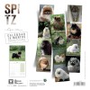 CALENDRIER chien 2026 SPITZ MARTIN SELLIER-DOGFRENCHTOUCH