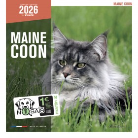 CALENDRIER chat 2026 MAINE COON MARTIN SELLIER-DOGFRENCHTOUCH