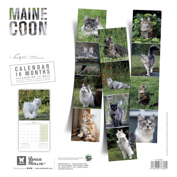 copy of Calendrier chien 2023-2024 Bouledogue français MARTIN SELLIER