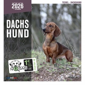CALENDRIER chien 2026 TECKEL MARTIN SELLIER-DOGFRENCHTOUCH
