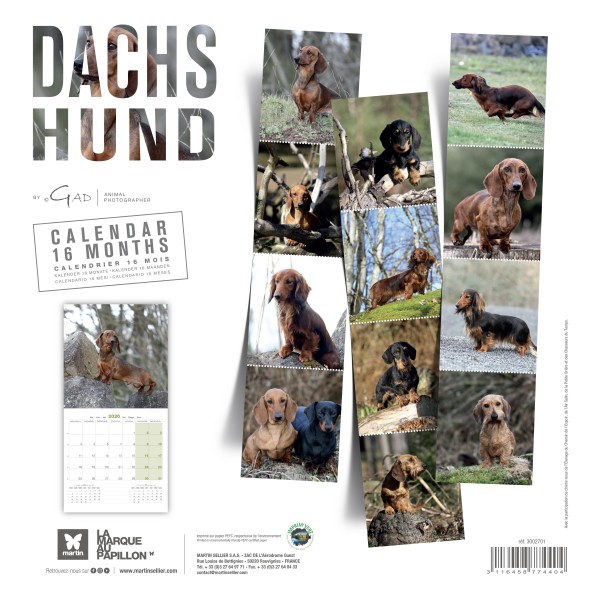 CALENDRIER chien 2026 TECKEL MARTIN SELLIER-DOGFRENCHTOUCH