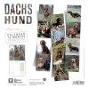 CALENDRIER chien 2026 TECKEL MARTIN SELLIER-DOGFRENCHTOUCH