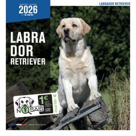 CALENDRIER chien 2026 LABRADOR MARTIN SELLIER-DOGFRENCHTOUCH