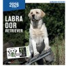 copy of Calendrier chien 2023-2024 Bouledogue français MARTIN SELLIER