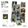CALENDRIER chien 2026 LABRADOR MARTIN SELLIER-DOGFRENCHTOUCH