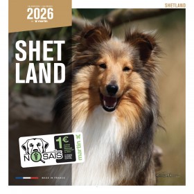 CALENDRIER chien 2026 SHETLAND MARTIN SELLIER-DOGFRENCHTOUCH