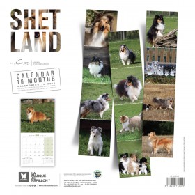 copy of Calendrier chien 2023-2024 Bouledogue français MARTIN SELLIER