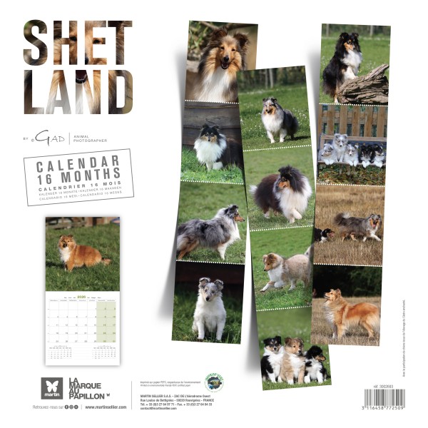 CALENDRIER chien 2026 SHETLAND MARTIN SELLIER-DOGFRENCHTOUCH