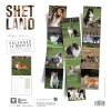 CALENDRIER chien 2026 SHETLAND MARTIN SELLIER-DOGFRENCHTOUCH