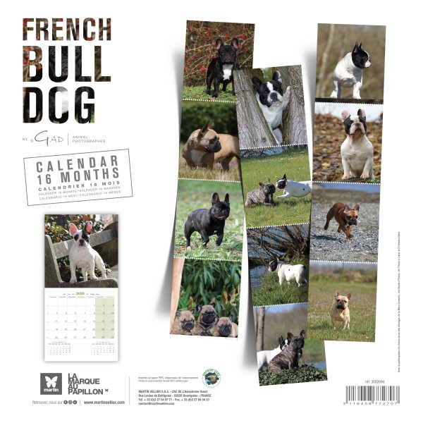 CALENDRIER chien 2026 BOULEDOGUE FRANCAIS MARTIN SELLIER-DOGFRENCHTOUCH