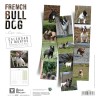 CALENDRIER chien 2026 BOULEDOGUE FRANCAIS MARTIN SELLIER-DOGFRENCHTOUCH