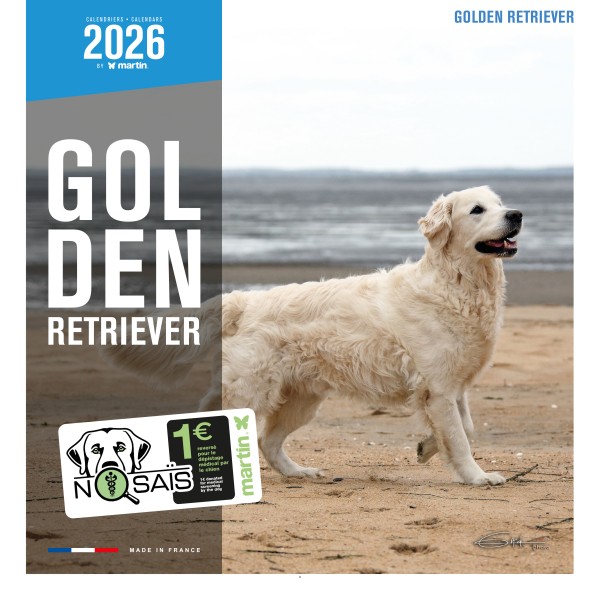 CALENDRIER chien 2026 GOLDEN RETRIEVER MARTIN SELLIER-DOGFRENCHTOUCH