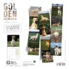 copy of Calendrier chien 2023-2024 Bouledogue français MARTIN SELLIER