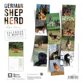 copy of Calendrier chien 2023-2024 Bouledogue français MARTIN SELLIER