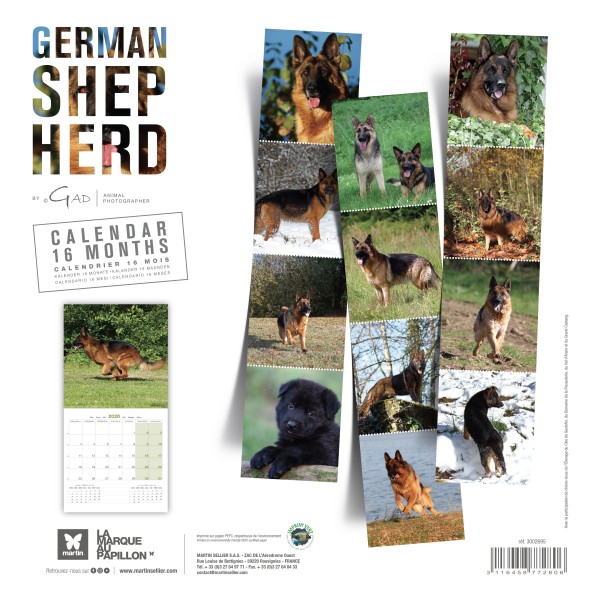 CALENDRIER chien 2026 BERGER ALLEMAND MARTIN SELLIER-DOGFRENCHTOUCH