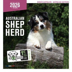 CALENDRIER chien 2026 BERGER AUSTRALIEN MARTIN SELLIER-DOGFRENCHTOUCH