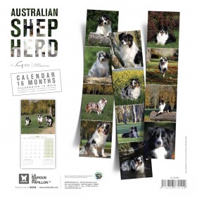 CALENDRIER chien 2026 BERGER AUSTRALIEN MARTIN SELLIER-DOGFRENCHTOUCH