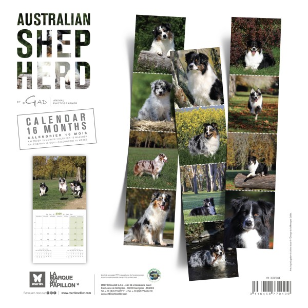 copy of Calendrier chien 2023-2024 Bouledogue français MARTIN SELLIER