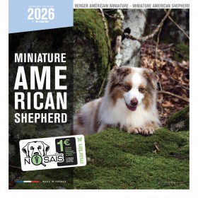 copy of Calendrier chien 2023-2024 Bouledogue français MARTIN SELLIER