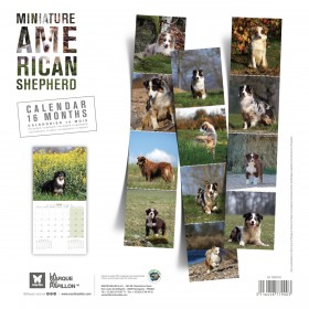 CALENDRIER chien 2026 BERGER AMERICAIN MINIATURE MARTIN SELLIER-DOGFRENCHTOUCH