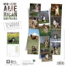 copy of Calendrier chien 2023-2024 Bouledogue français MARTIN SELLIER