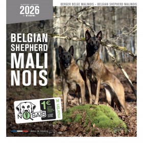 CALENDRIER chien 2026 BERGER BELGE MALINOIS MARTIN SELLIER-DOGFRENCHTOUCH