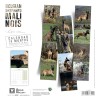 CALENDRIER chien 2026 BERGER BELGE MALINOIS MARTIN SELLIER-DOGFRENCHTOUCH